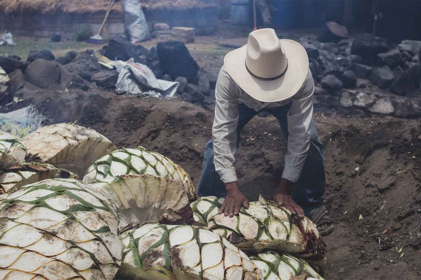 mezcal huichichiqui