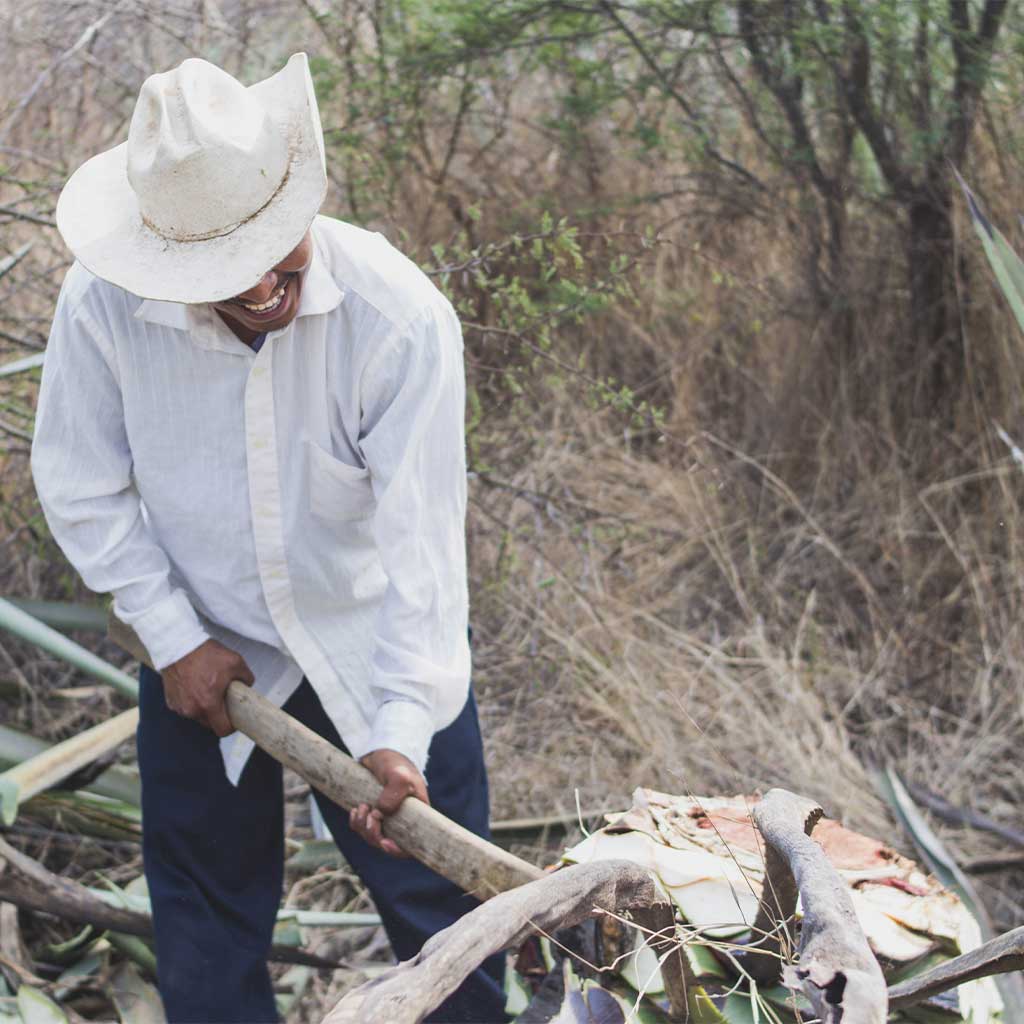 mezcal huichichiqui